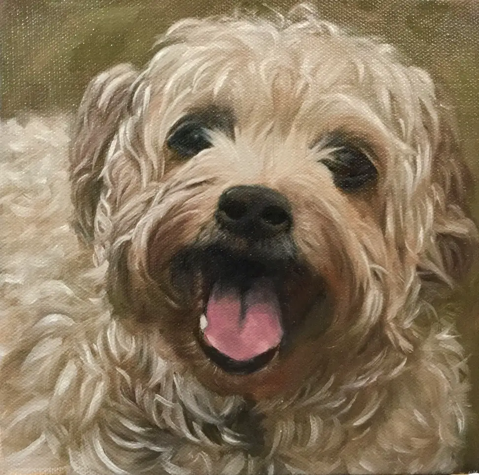 Painting dog portraits - ginger