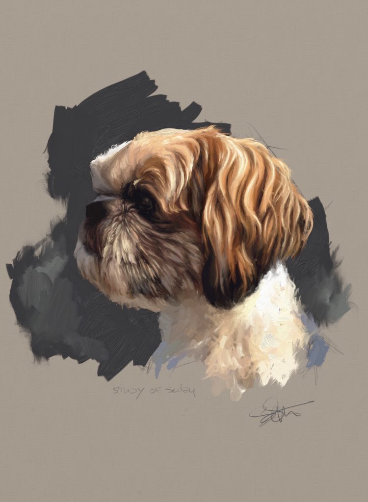 Painting dog portraits - Portrait study of a dog named Scoby