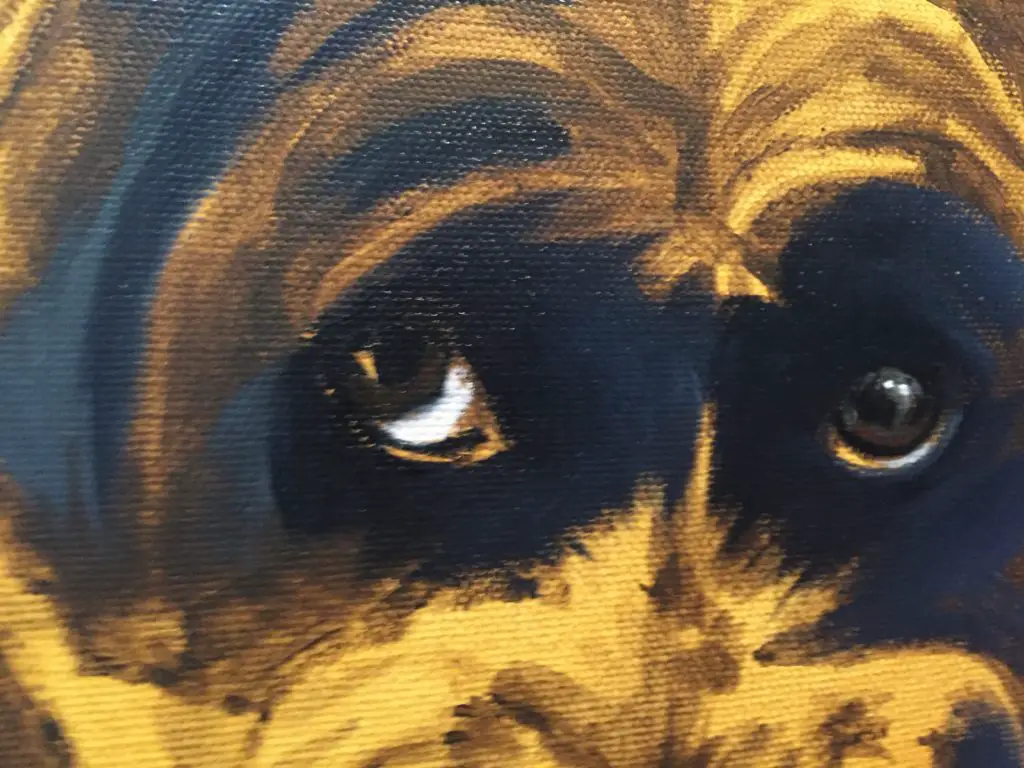 Paint a dog portrait step-by-step, step 3