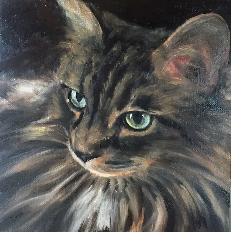 Painting A Cat In Oil Featuring Prescott, A Gorgeous Maine Coon